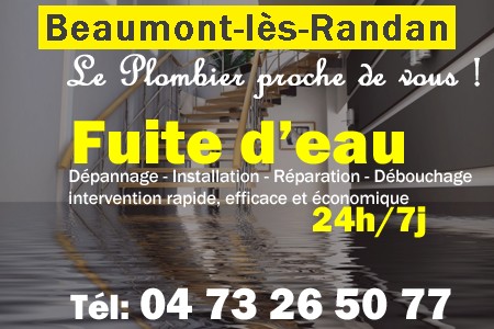 fuite Beaumont-lès-Randan - fuite d'eau Beaumont-lès-Randan - fuite wc Beaumont-lès-Randan - recherche de fuite Beaumont-lès-Randan - détection de fuite Beaumont-lès-Randan - dépannage fuite Beaumont-lès-Randan
