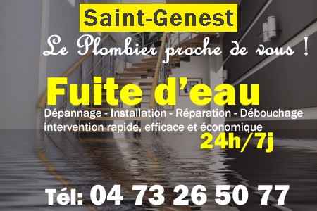 fuite Saint-Genest - fuite d'eau Saint-Genest - fuite wc Saint-Genest - recherche de fuite Saint-Genest - détection de fuite Saint-Genest - dépannage fuite Saint-Genest