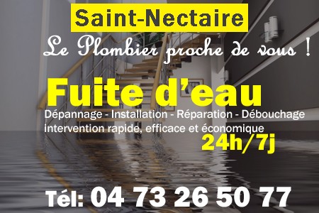 fuite Saint-Nectaire - fuite d'eau Saint-Nectaire - fuite wc Saint-Nectaire - recherche de fuite Saint-Nectaire - détection de fuite Saint-Nectaire - dépannage fuite Saint-Nectaire