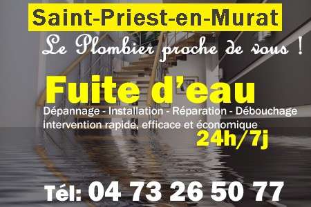 fuite Saint-Priest-en-Murat - fuite d'eau Saint-Priest-en-Murat - fuite wc Saint-Priest-en-Murat - recherche de fuite Saint-Priest-en-Murat - détection de fuite Saint-Priest-en-Murat - dépannage fuite Saint-Priest-en-Murat