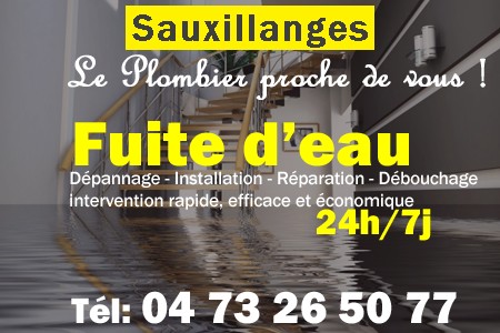 fuite Sauxillanges - fuite d'eau Sauxillanges - fuite wc Sauxillanges - recherche de fuite Sauxillanges - détection de fuite Sauxillanges - dépannage fuite Sauxillanges