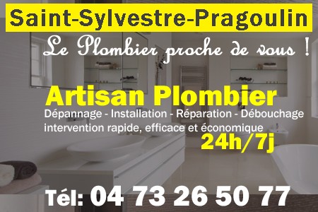 Plombier Saint-Sylvestre-Pragoulin - Plomberie Saint-Sylvestre-Pragoulin - Plomberie pro Saint-Sylvestre-Pragoulin - Entreprise plomberie Saint-Sylvestre-Pragoulin - Dépannage plombier Saint-Sylvestre-Pragoulin